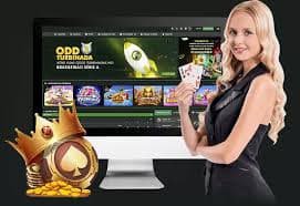 bitrix24